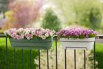 vibia campana trough allin1 70cm pistachio green